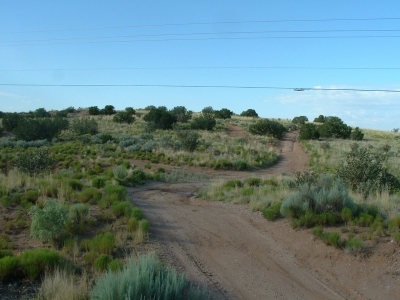 Loma Barbon