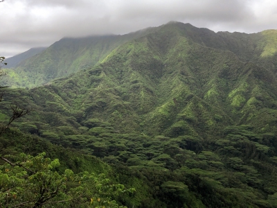 Pu'uka'aumakua