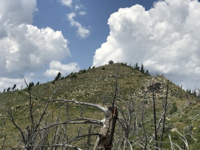 Pilot Peak