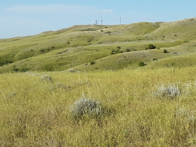 Pine Ridge