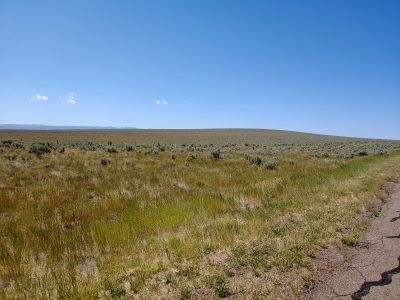 Horse Hill