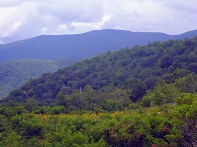 Cold Spring Knob