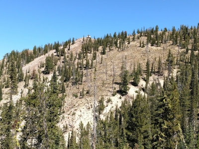Swanholm Peak