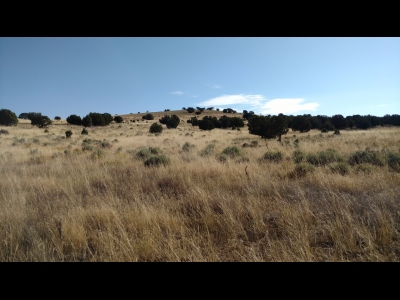 Observation Knoll