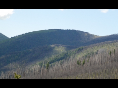 Midnight Mountain
