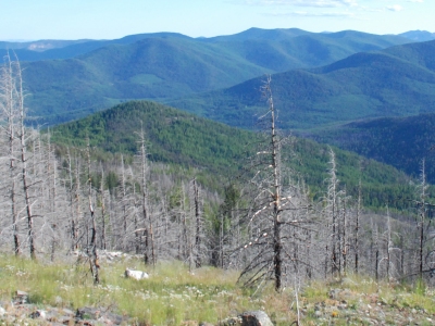 Rabbit Mountain