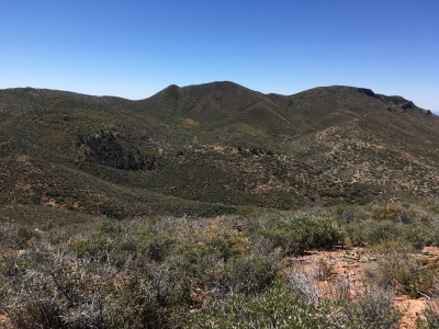 "Mount Alexander"