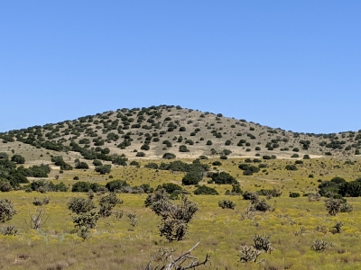 Turquoise Hill