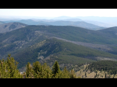 Blue Buck Ridge
