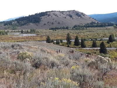 Burro Hill