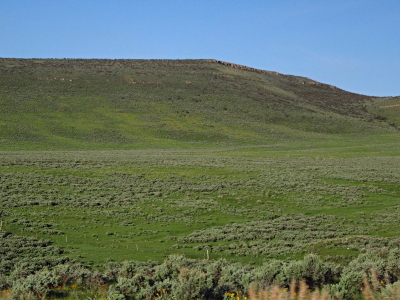 Bear Valley Ridge