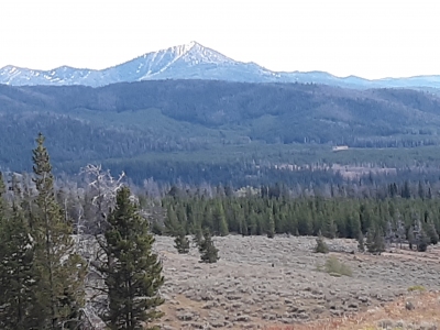 Leidy, Mount