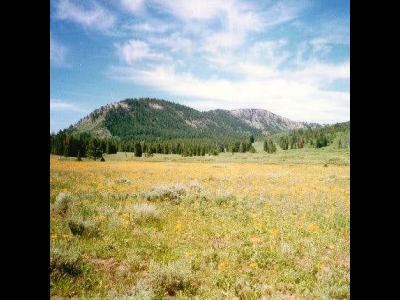 Gold Hill