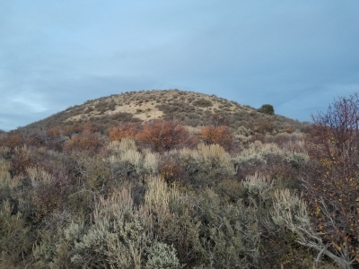 Lone Butte