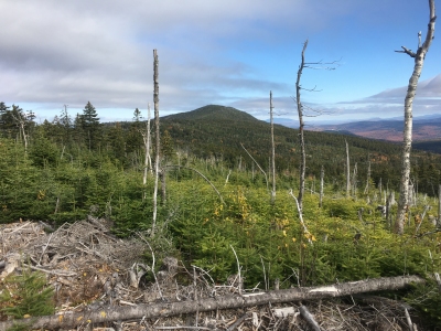 Bemis Mountain