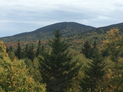 Whitcomb Mountain, South
