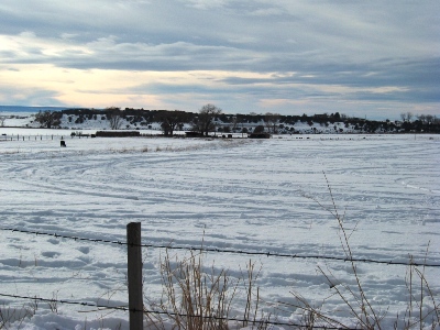 Spurlin Mesa