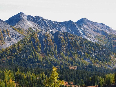 Martin Peak
