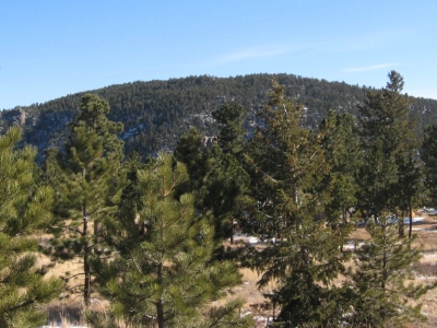 Comforter Mountain