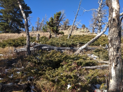 Conical Peak