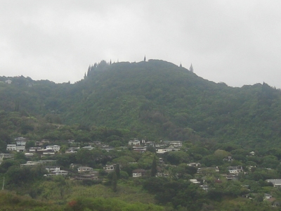 Puu Kakea