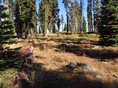 Gold Star Peak