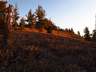 Baldy, Mount