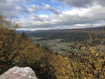 Crissman Knob