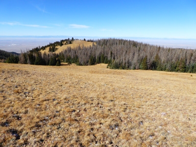 Sheep Ridge