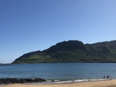 Kalanipuu