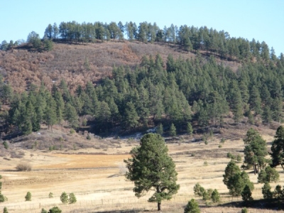 Oakbrush Hill