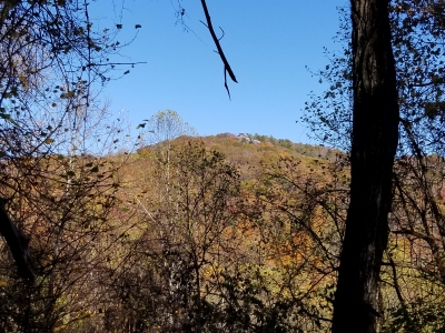 Birch Gap Benchmark