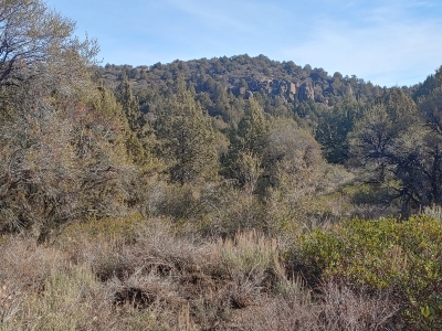 Combination Ridge
