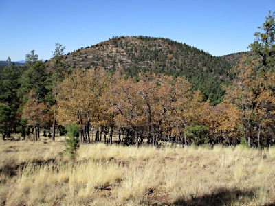 Wounded Ranger Knoll