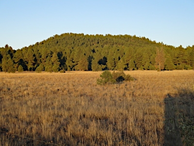 Boxcar Hill