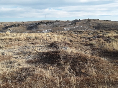 Pine Ridge