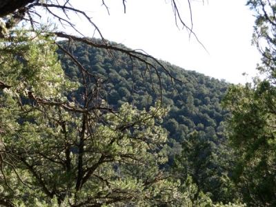 Round Mountain