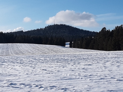Mason Butte