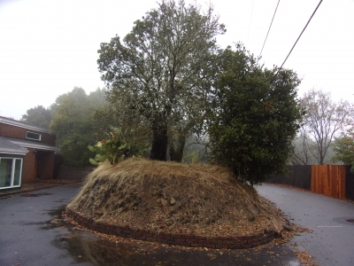 Novato Heights