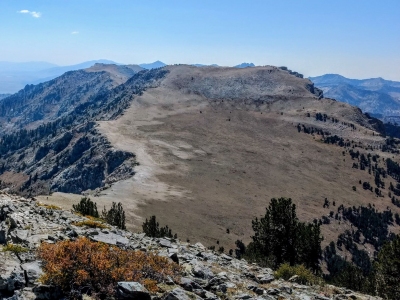 Wines Peak