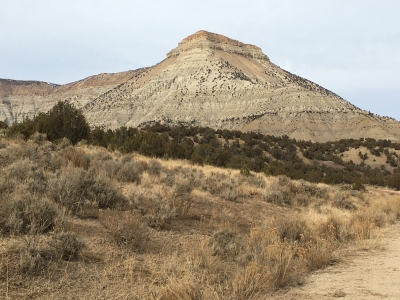 Long Point