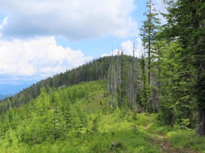 White Peak