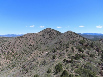Cove Mountain