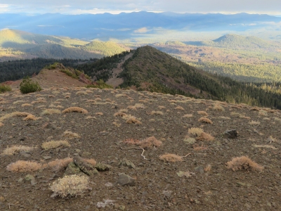 Fredonyer Peak