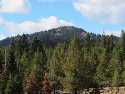 Round Mountain