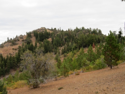 Cougar Butte