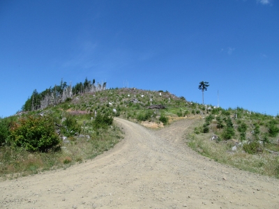 South Saddle Mountain