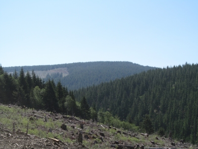 Nicolai Mountain