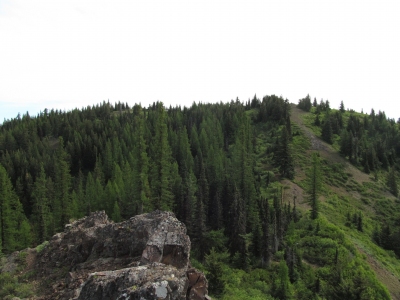 "Jester Mountain"