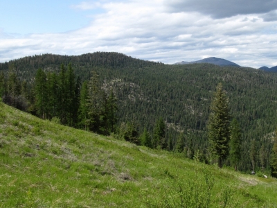 Bear Mountain